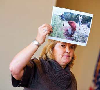 Cosy Balok holds up a photo of a horse stuck in a cattle guard during a meeting Monday morning. Several area agencies met to try to untangle the jurisdictional issues that city, county, state and tribal entities face when dealing with animal control issues. © 2011 Gallup Independent / Brian Leddy 